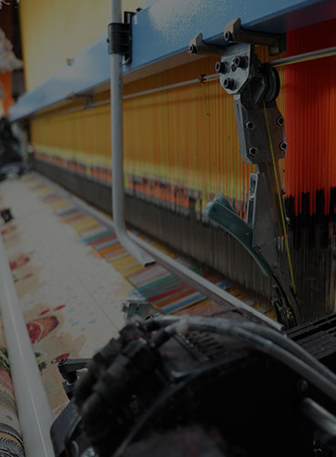 Tongxiang Miaoqisi Teicstíle Co, Teo.